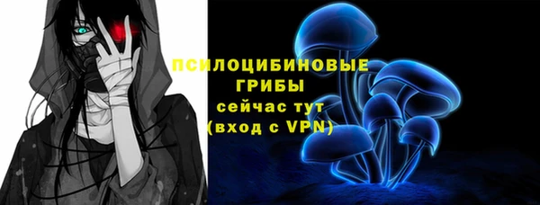 ешки Богородицк